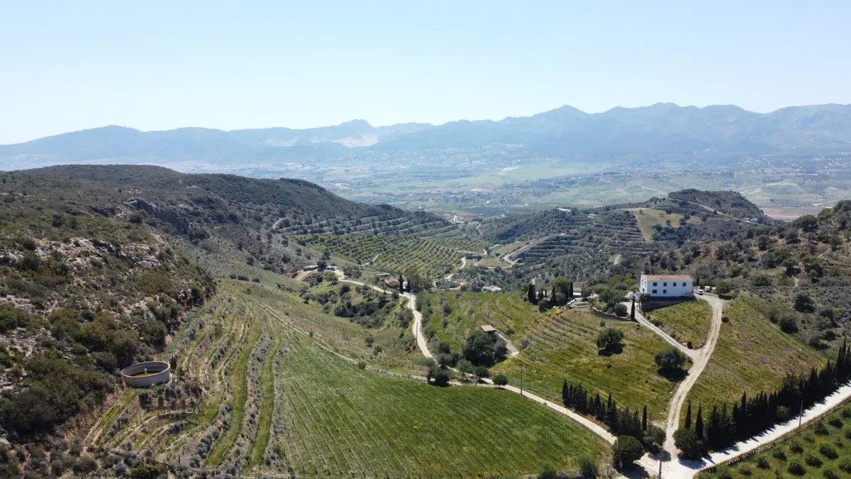 4e23dbd2-2316-4a14-9f68-e92a5498ea23