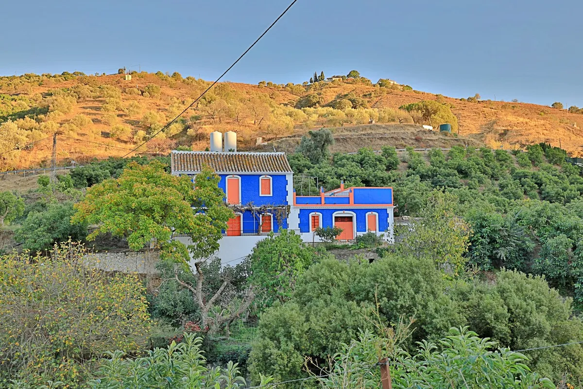 446cd2d3-2ff8-49d2-aeb9-78bfff3bd226