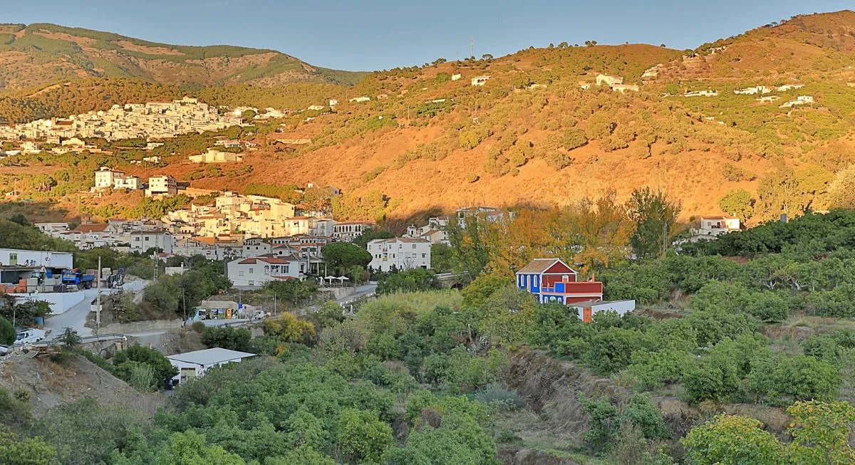 e162af68-dc9c-4c16-9dec-dca841a62a7e