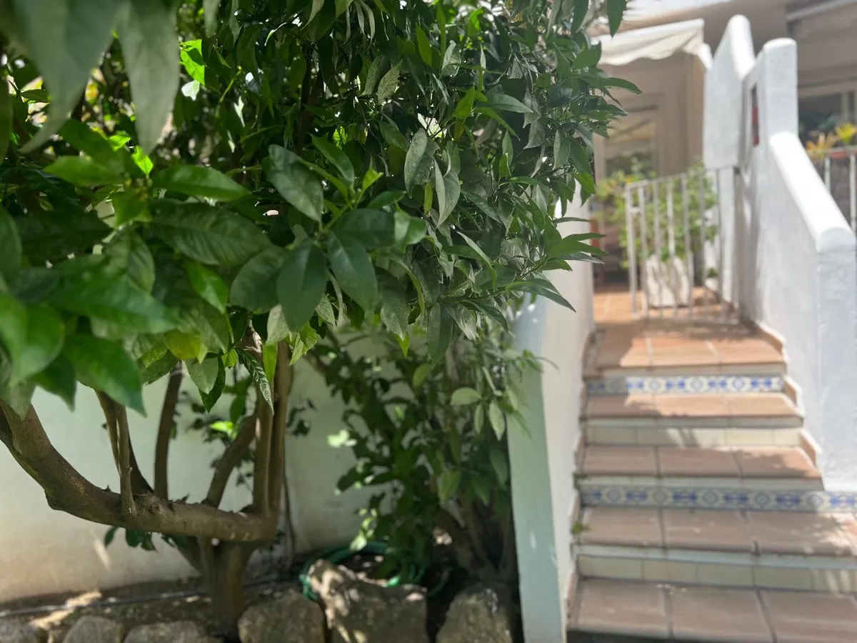 1e2c021f-8a82-4b4a-a1b3-44d14d1e5670