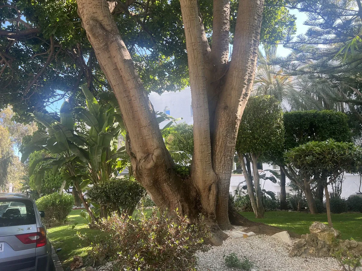 afd10211-25a0-4f34-b91f-42a4277b88b3