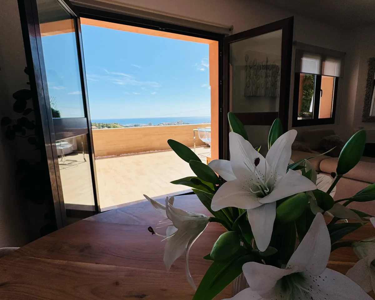 fe2ab536-e67e-413d-a925-0fe5ac2d4e23