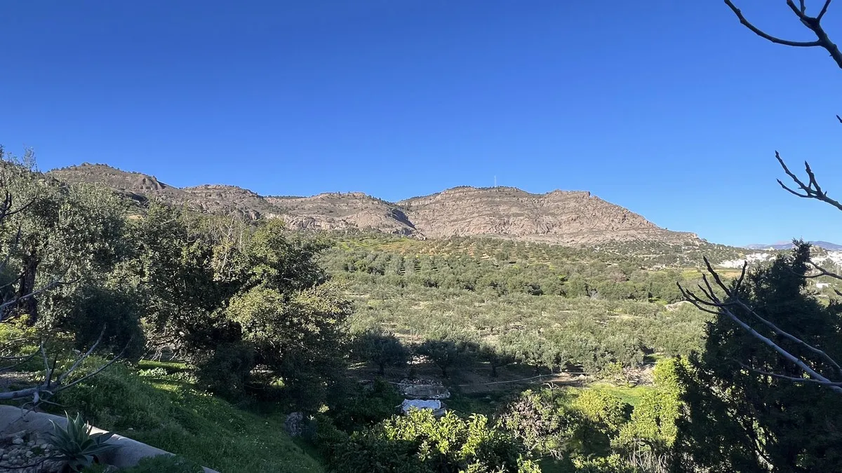 16e641e1-2afd-42be-8e4a-cadb1f14d731