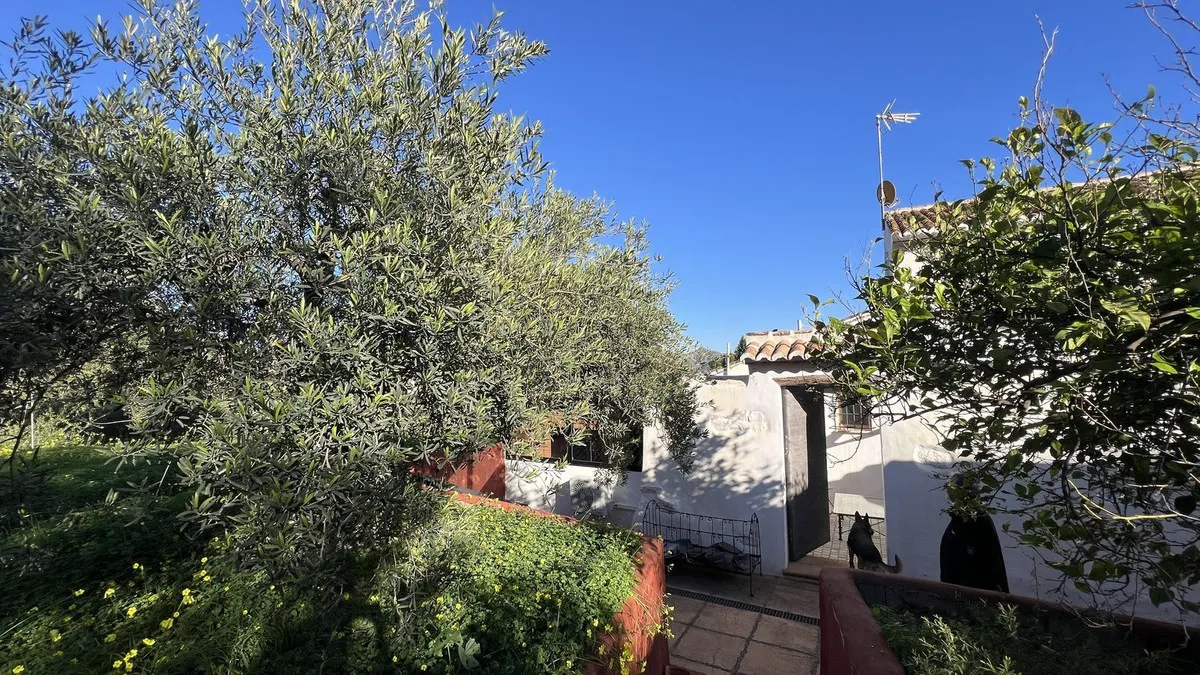 738a6043-cd9a-4483-91b5-98cc42dd14a5