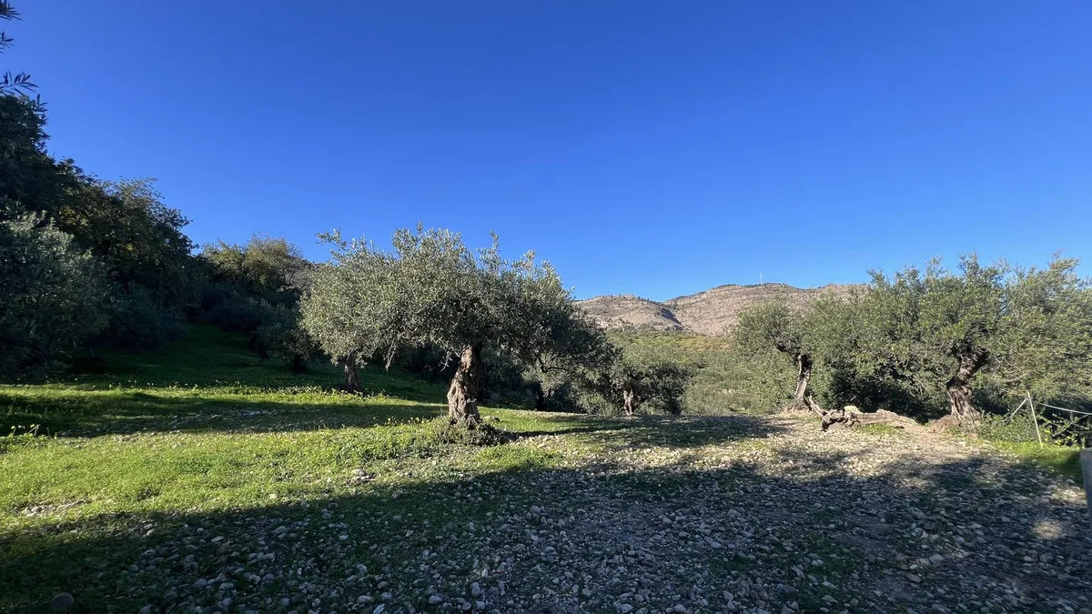 78793f08-88fc-451e-b72d-110a1a016115