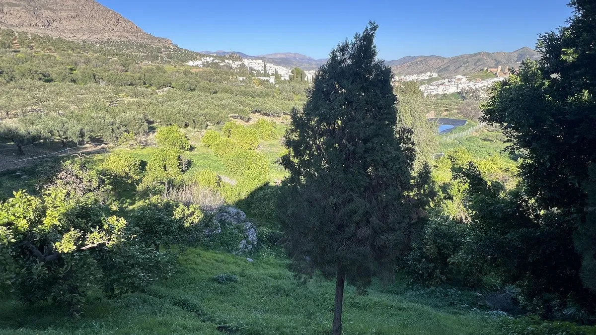 cc2ca4ca-39a8-407a-9efb-d0e823a22ef0