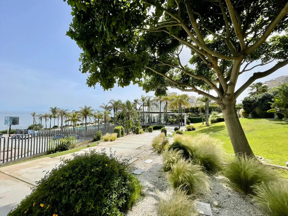 cfe1e23e-ef1d-4d2c-8a57-809f57776b02