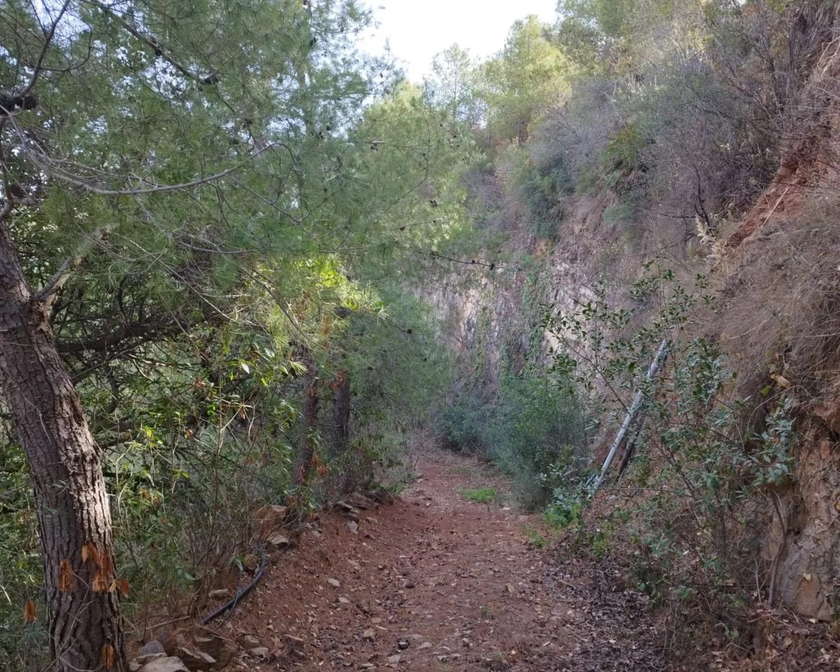 495fea37-5746-417f-be3c-b252bdc49b87