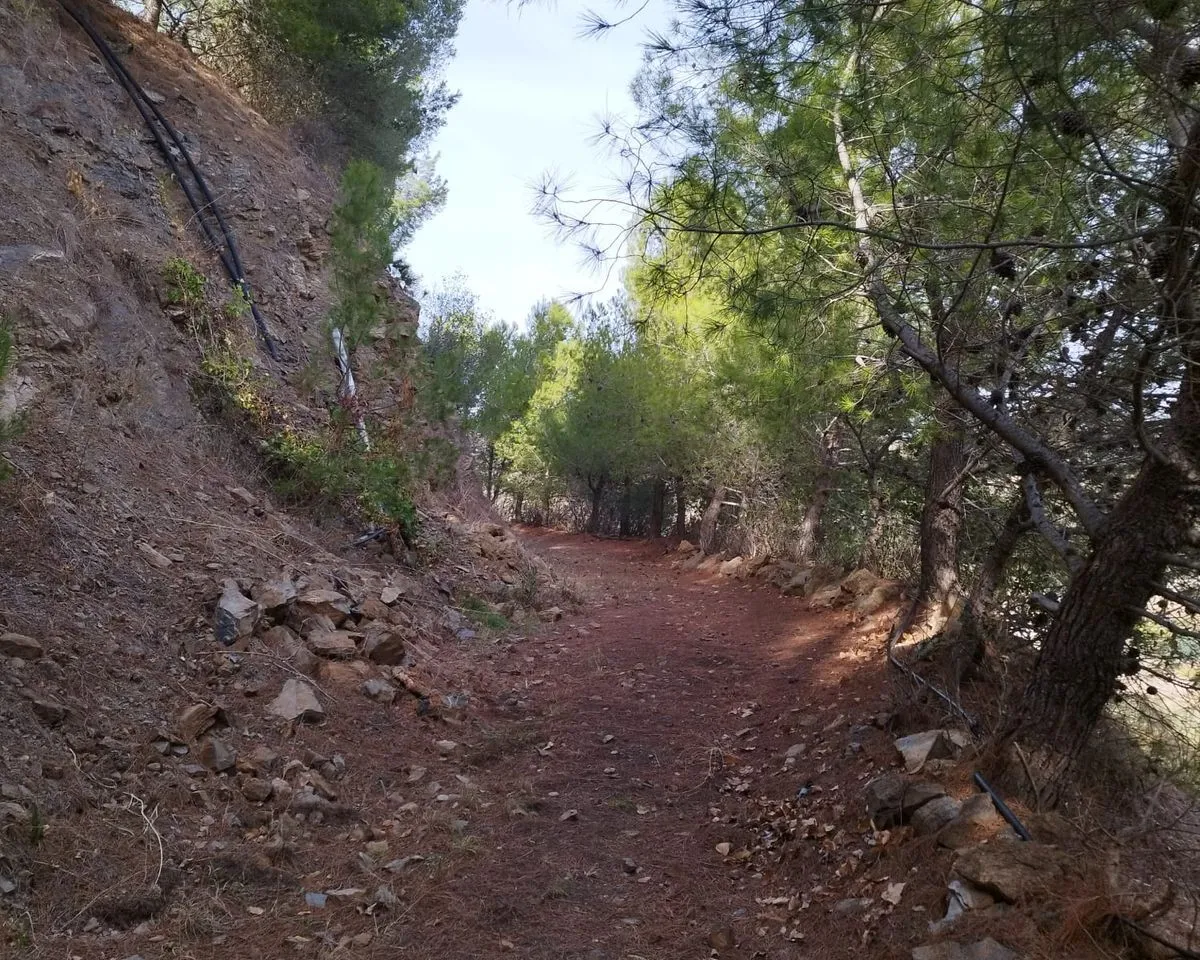 4af8ba26-14ce-484b-be2a-dae2a780f971