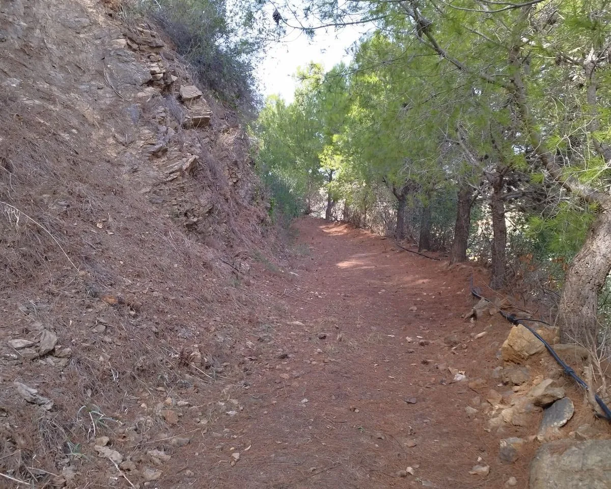 74eb34f8-1a88-42a4-bf8f-fb5635ac3ced