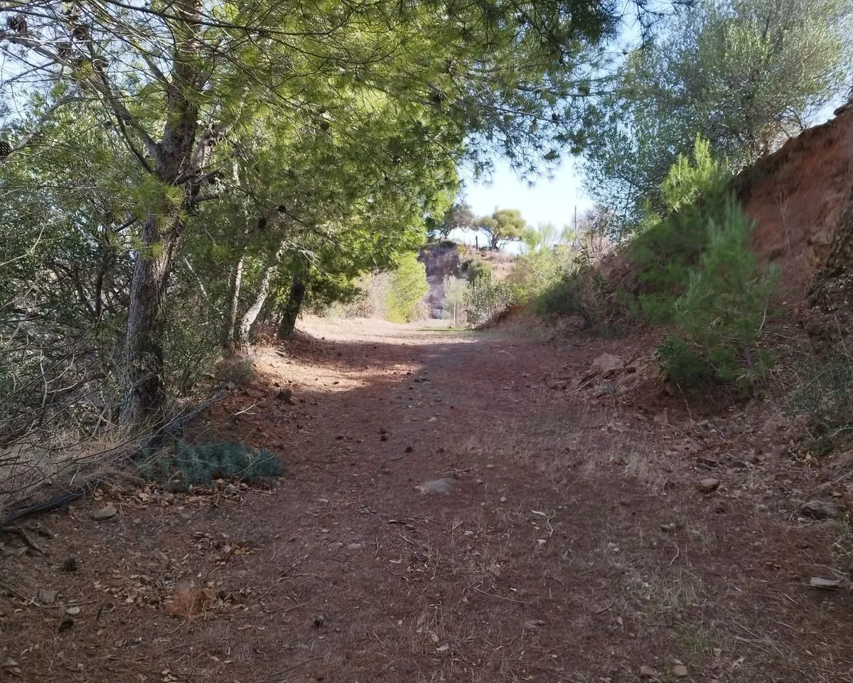 8b13bc49-3e5a-421e-b42c-9a77e75da562