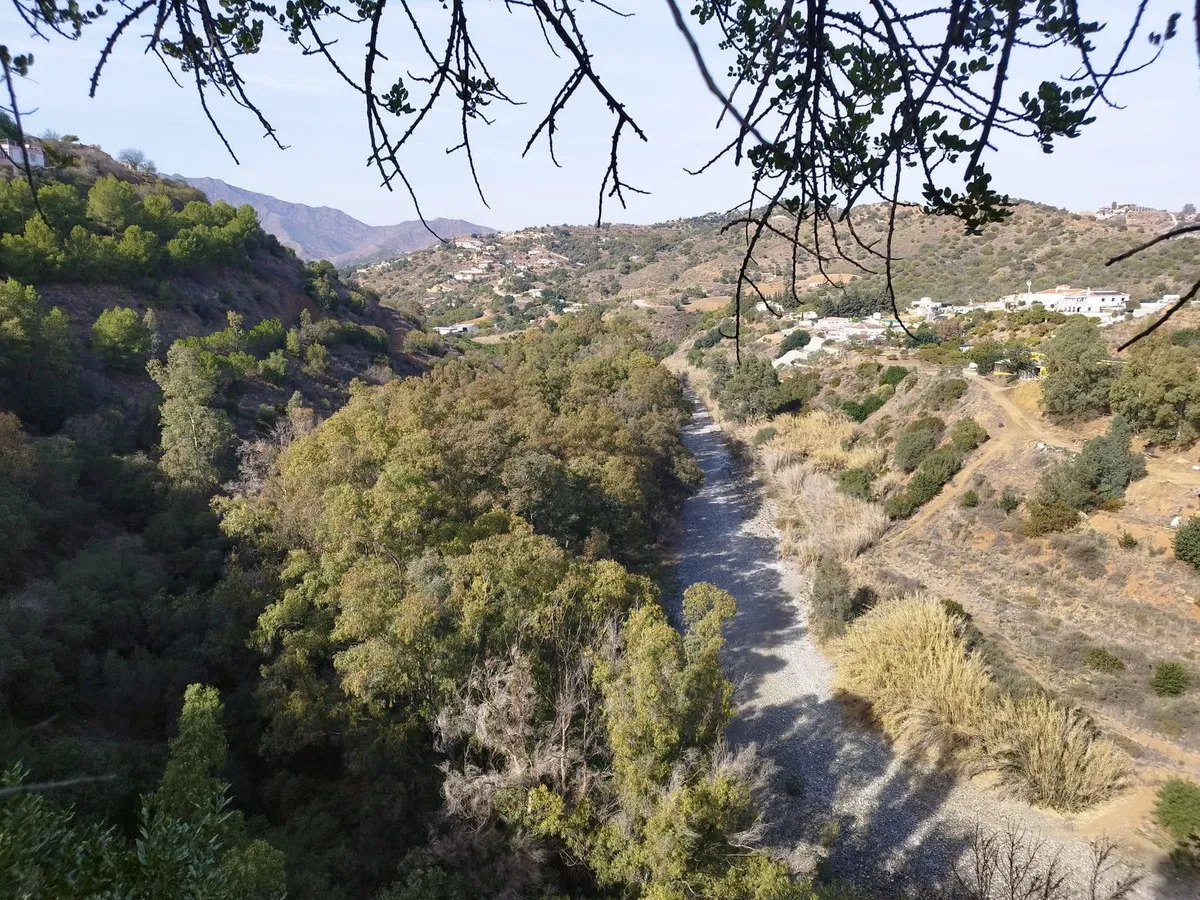 91ff57ce-0b22-442f-98d7-e15bebe1ac20