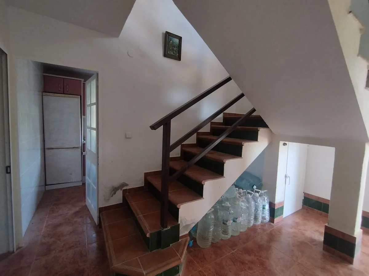 cb8f3837-d0fb-4f00-b644-8e7e9db4ebeb