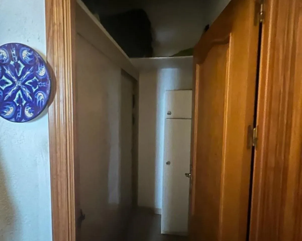 41e4c60b-61d7-40bc-91b7-462130bfb63d