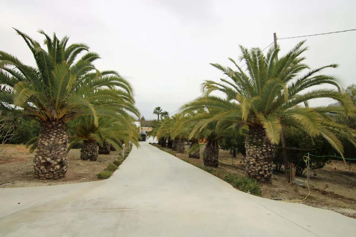 2c45405a-355c-4a60-a273-bfbc7817ae7f