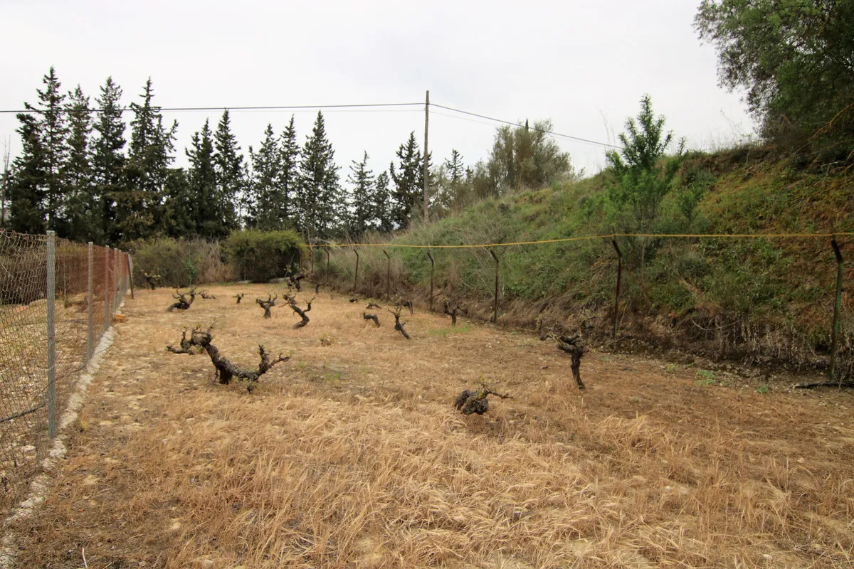 8234d79b-581b-43fe-91c9-e29e408396e5