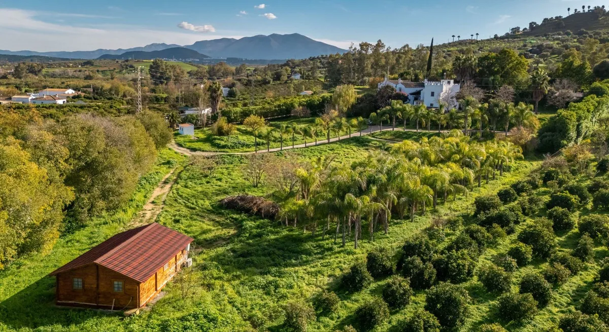 6a00c46c-79a3-4529-afe1-c4622dbefe65