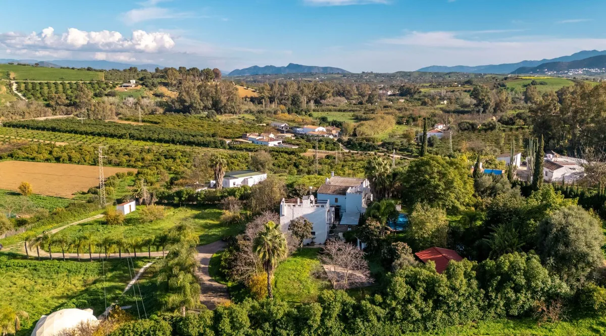 9e803646-ca62-448a-975c-0e56b68f81e0