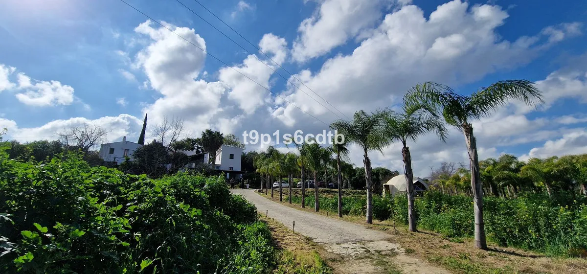 0ea4afcd-27b1-499a-bfa8-bcc91a186073