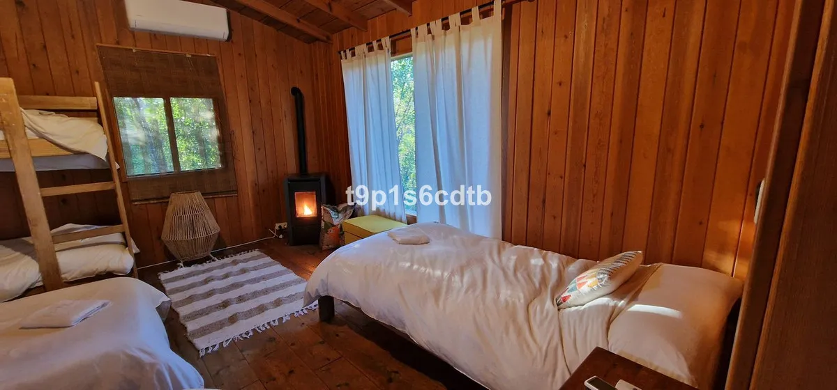 258afb74-1248-4086-96ee-5b4bb8ca28c3