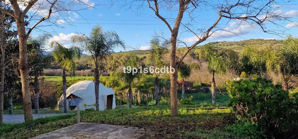 680292b3-5ecd-46c4-b0ad-a4afe9fd8a25