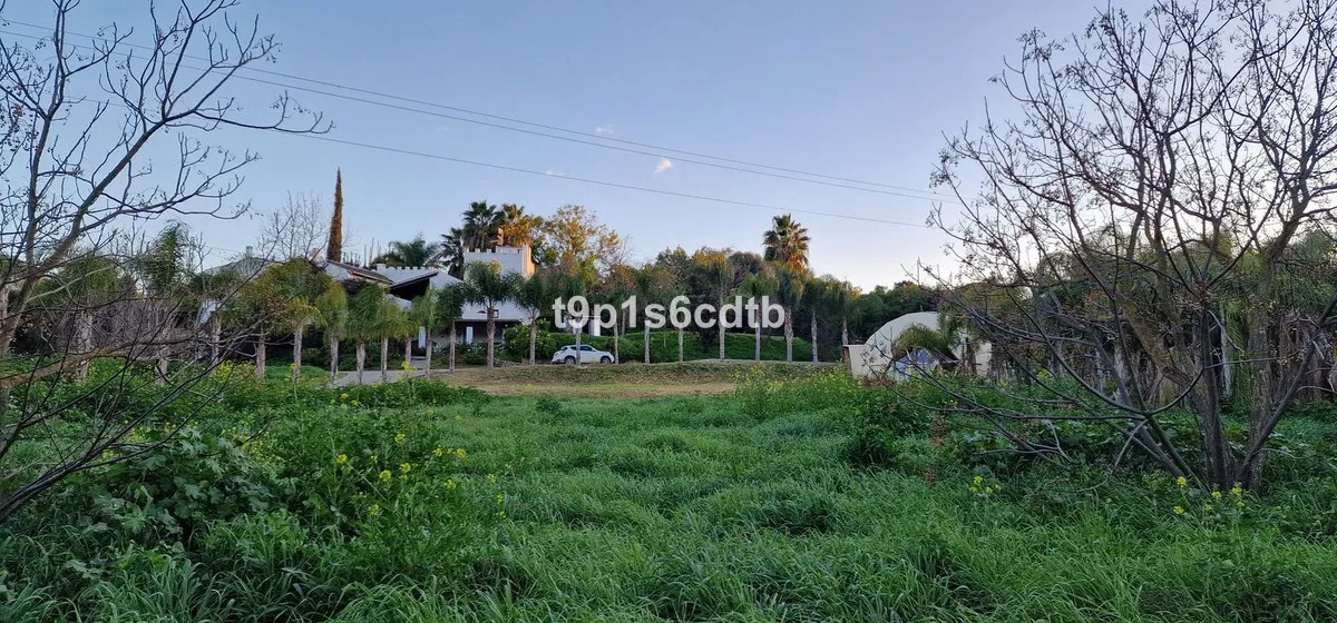 a1c98589-082b-4829-b0ee-47aea52b3a94