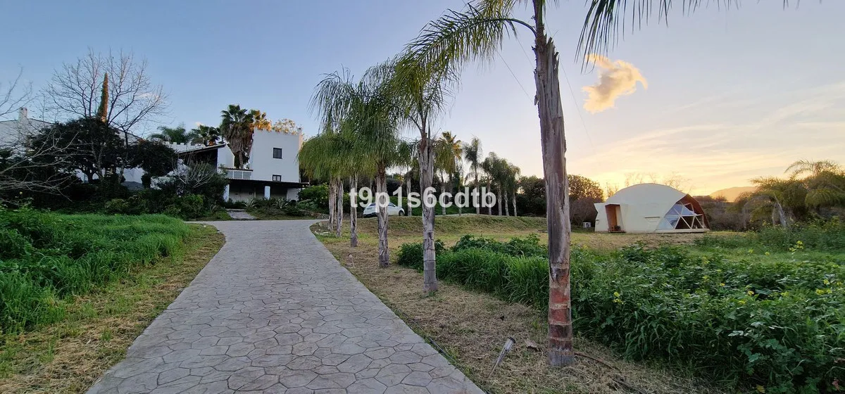 a363307b-209d-4152-9a2a-7cfdfaaba17a