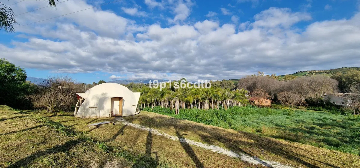 c7ba0c42-c844-4186-8535-2a134236f5d1