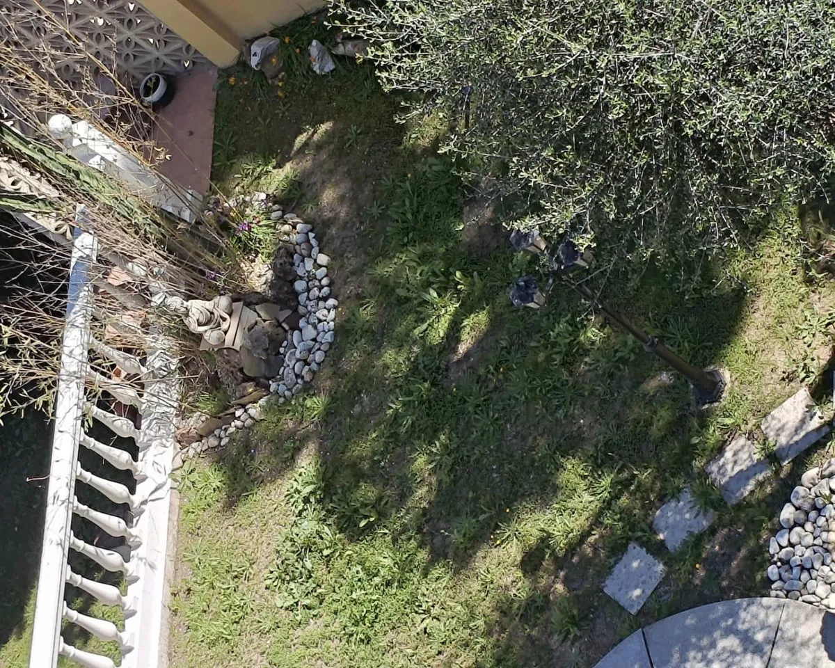 53aed1d5-f079-42ff-b00b-ba18482a6a48