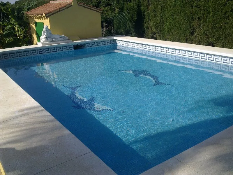 55d70024-f6e1-4f6f-b330-6c9260436455