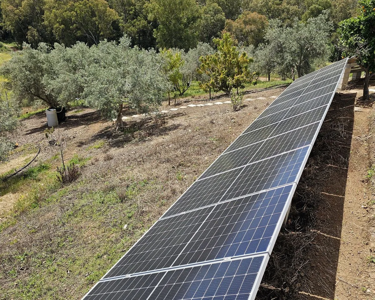 c109ec5c-11d8-4579-b8ec-fd4f61f87456