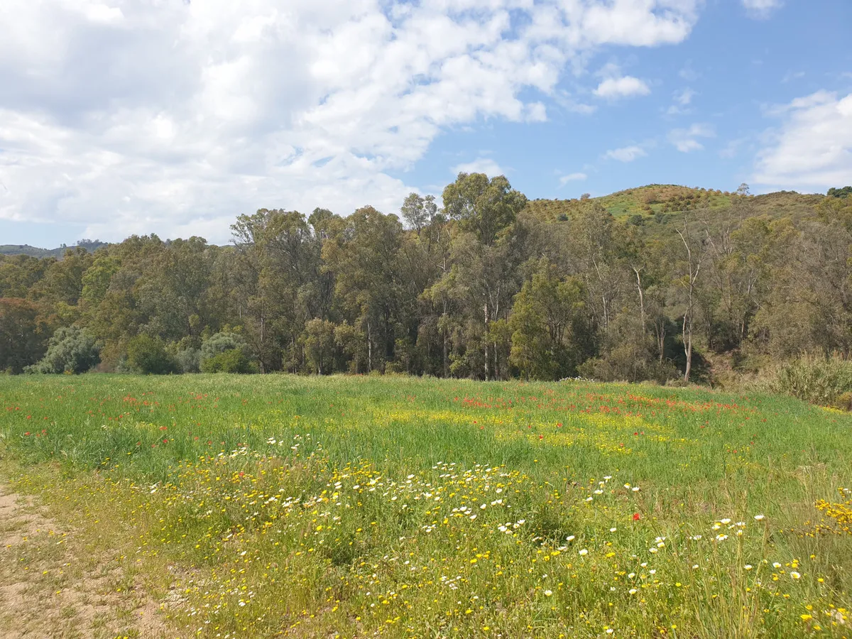 cfd66d02-6d48-4263-90a4-8e23005e23d8