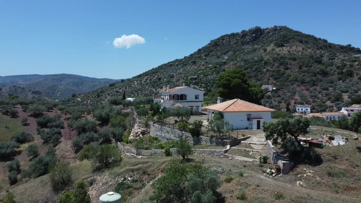 c1ad526a-10ed-4b2e-aa33-d9db5cfc06cb