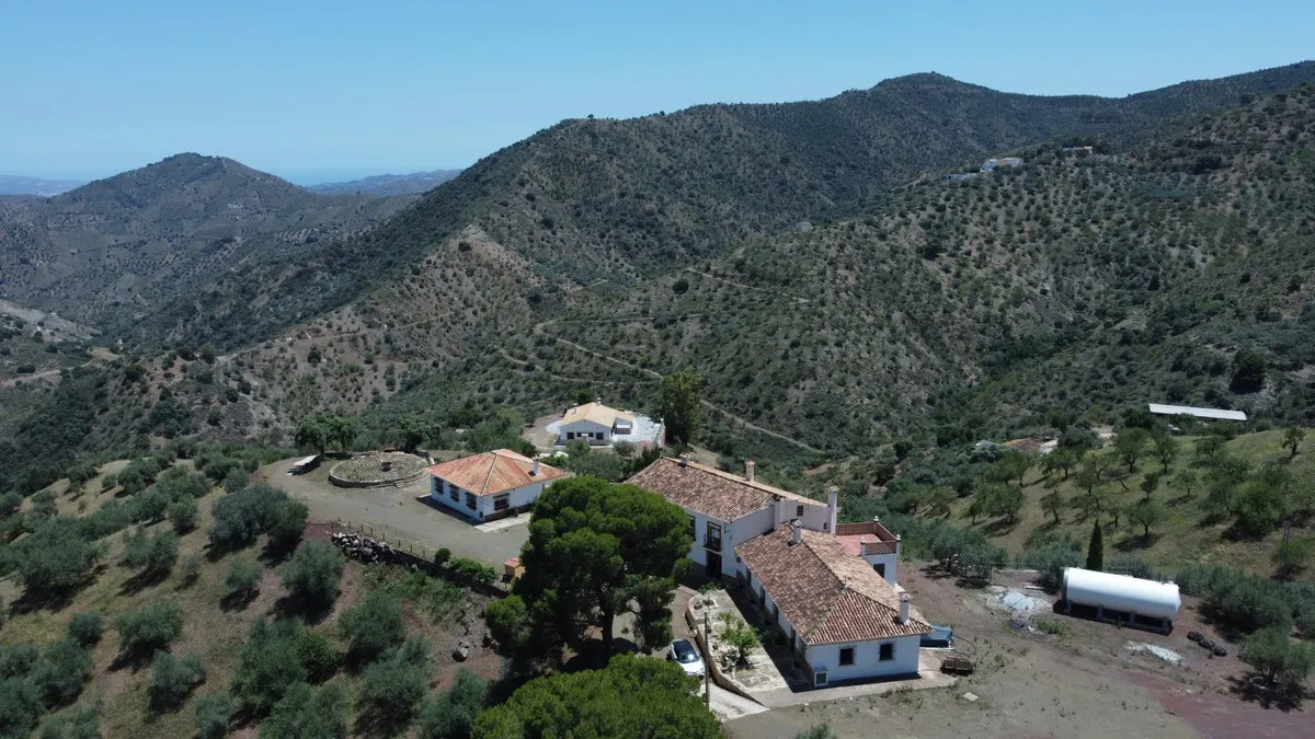 f5996745-7e3b-4499-96bf-76215680b26c