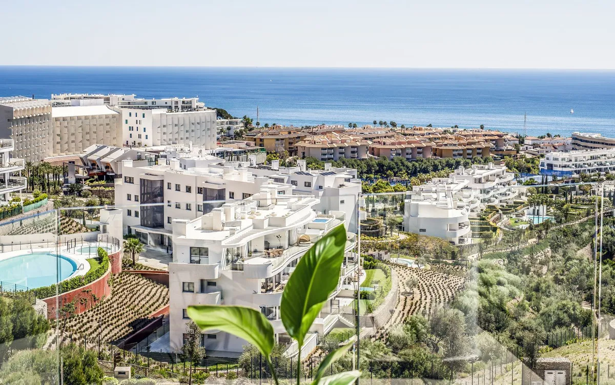 2e554e3d-c0f2-42a4-89e7-eea0a936fb93