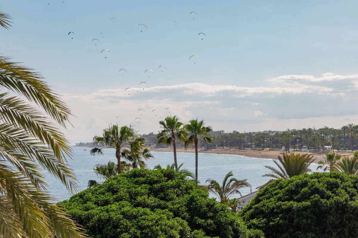 be63c926-62b2-4b88-a1c6-070af70fa8d4