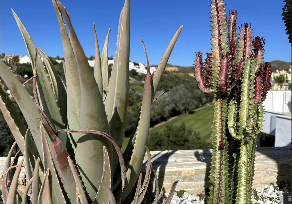 9926b0e7-e792-4806-b9fb-461b75ee3a3f