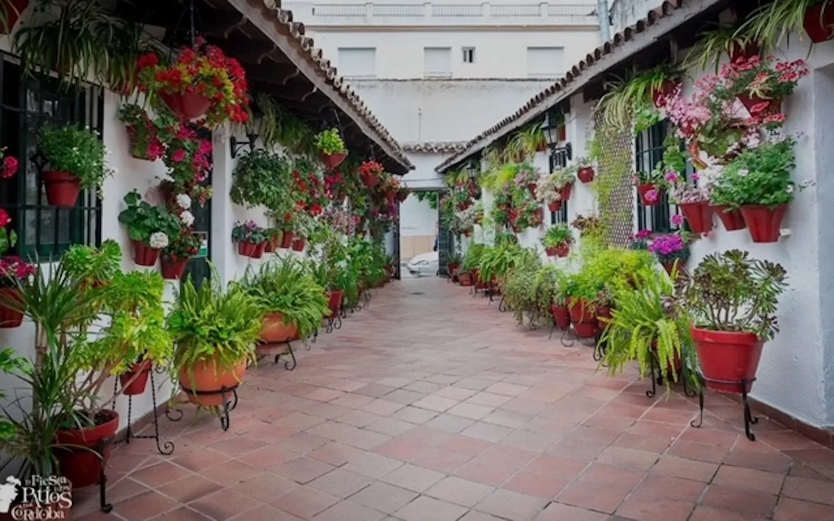 d21eea8e-bb4f-44f3-8143-3a041c8189ab