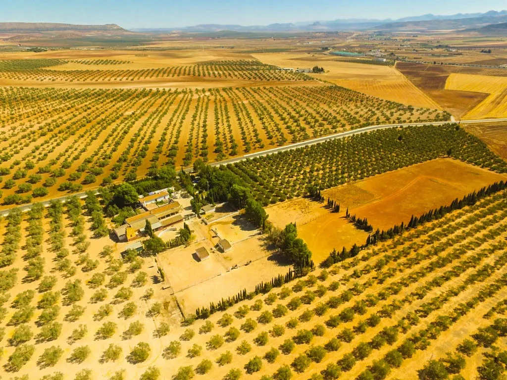 3a79edf6-9d9d-43f9-8058-09d2c33bf256