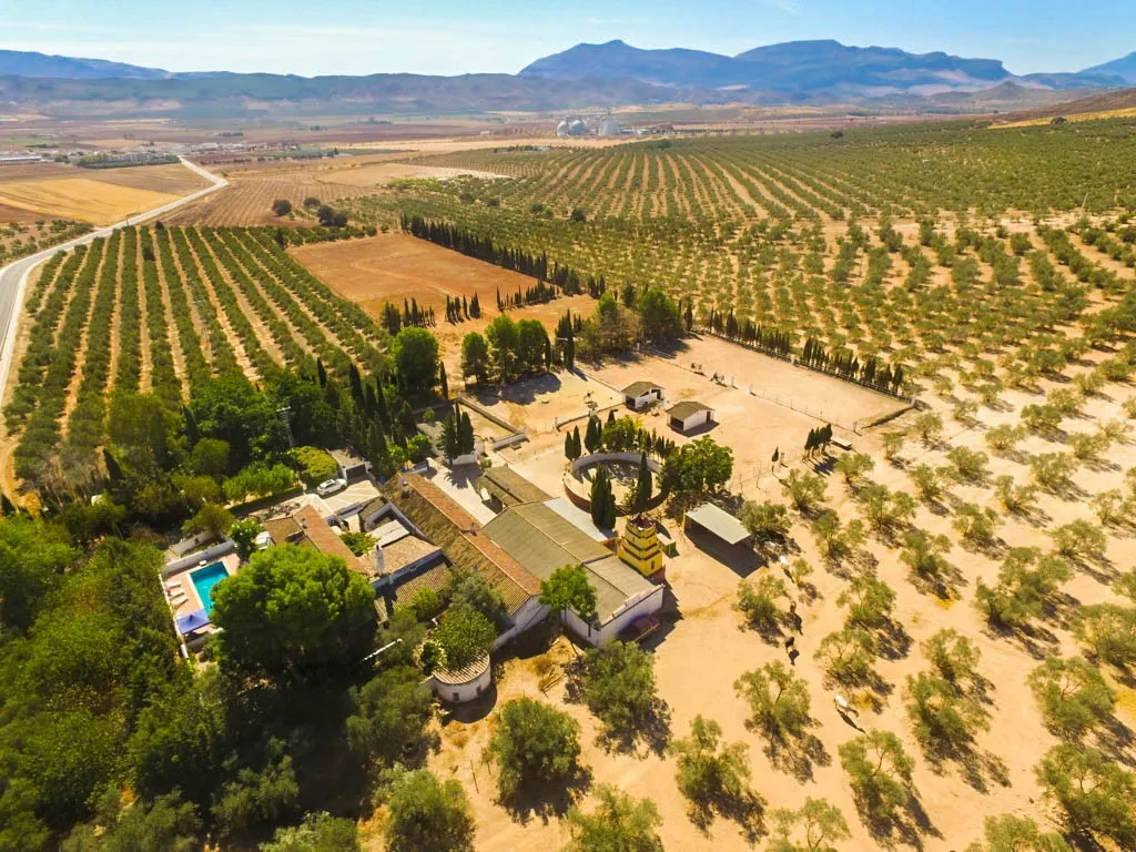 82de638b-8b11-4e46-bd60-4fe254d5aa33