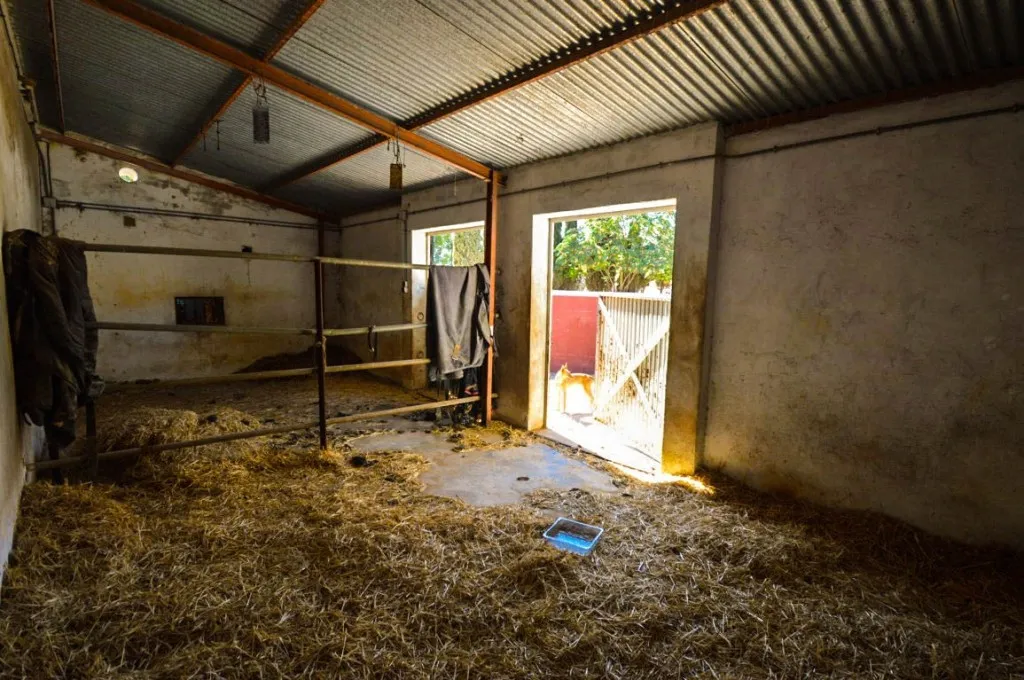 9760d5b5-f79a-4ef6-9e82-671ffbeaf74f