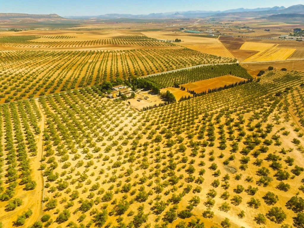 c64b4f40-6308-4a52-9fb5-efb96bd59614