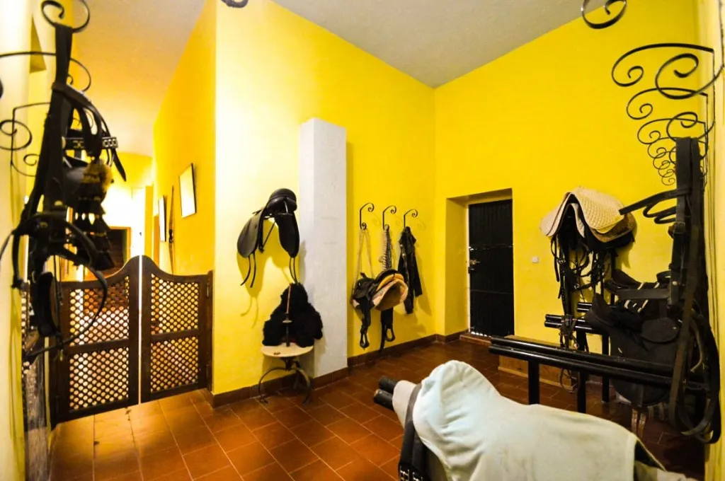 fb0b12ea-db58-4bf5-a126-6aabe9f8477d