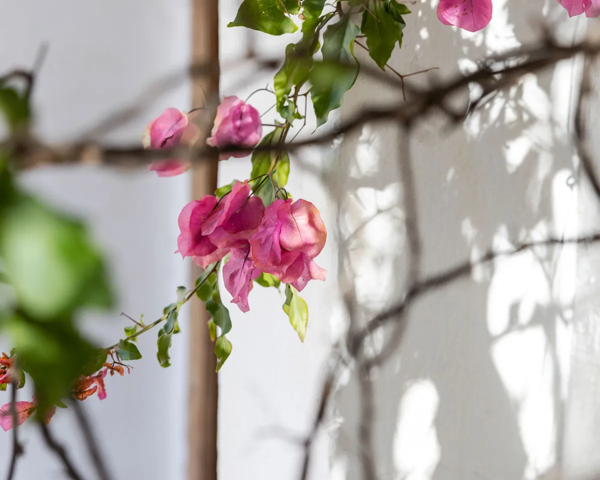 041edcd3-8ec2-4f7a-99c8-432e6c4d1576