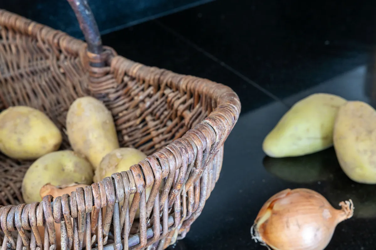 a447c66e-8499-4e6c-b81d-b346d103973c