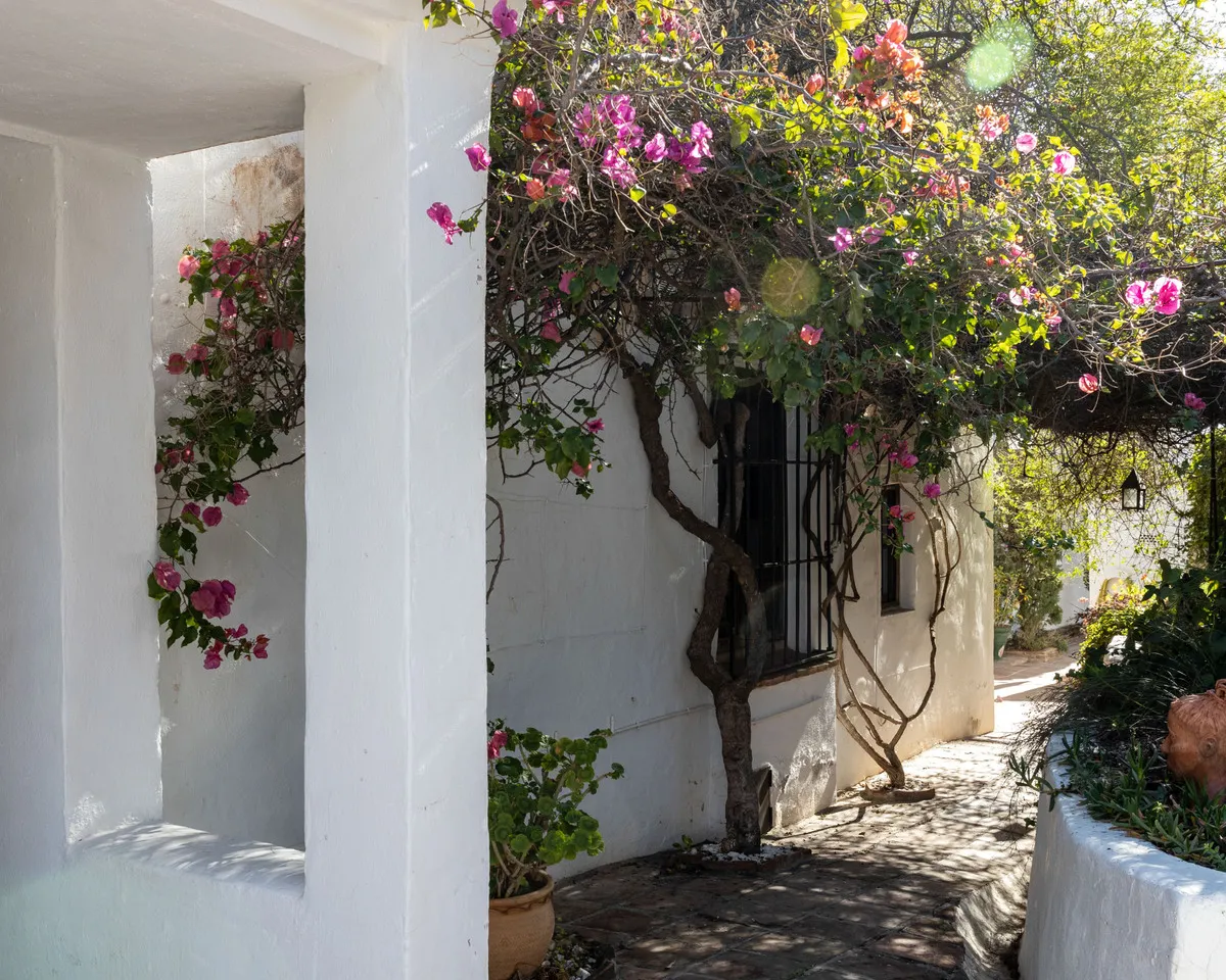 a7883968-0115-4854-b544-d224189c096d