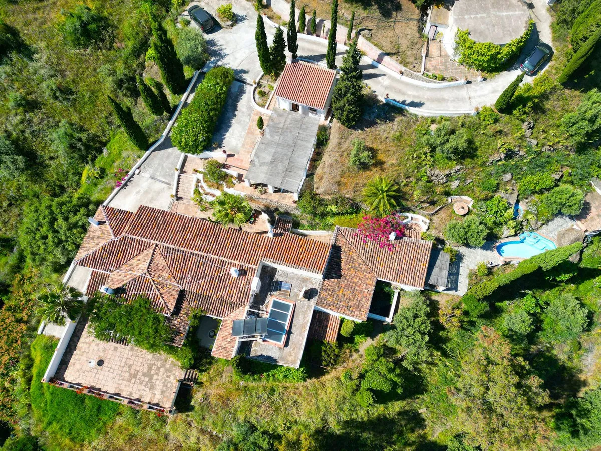 0ed69b8e-53bb-42de-b169-de043594df53