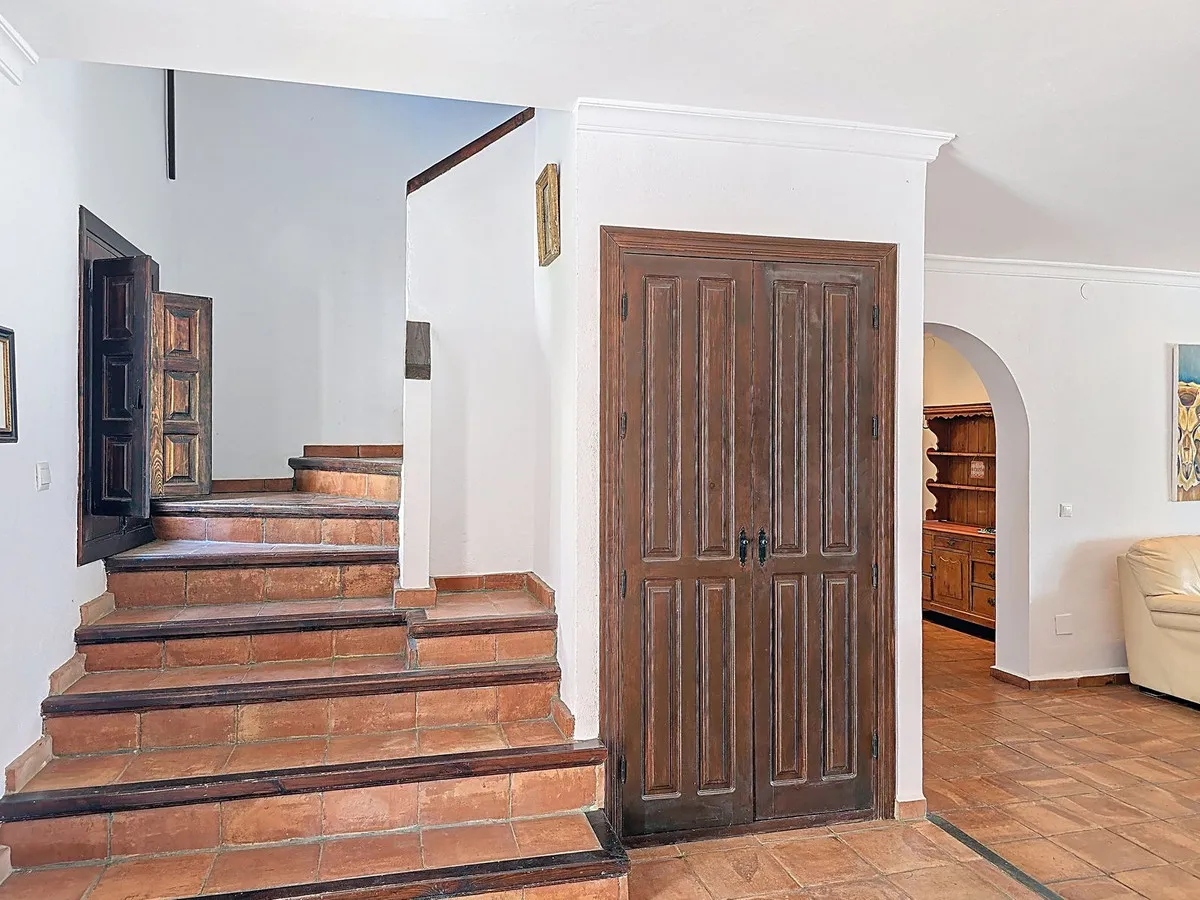 d1d03af6-101a-46c3-82b0-c92a0705ca73