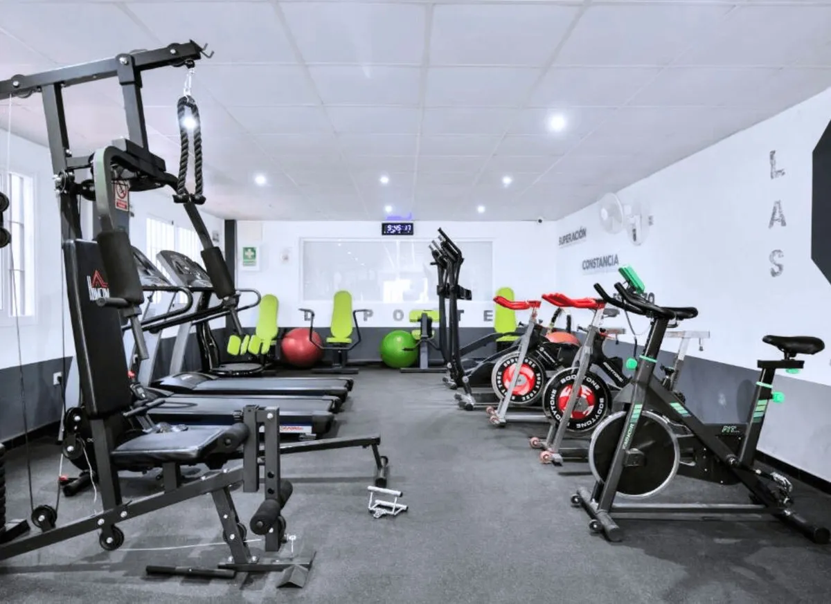 2ee536b9-daef-42ce-925c-5b8f63446738