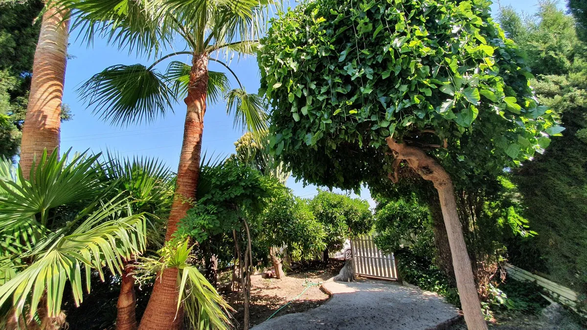 0f1b182e-3183-4277-9486-6e3e6695a211